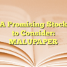 A Promising Stock to Consider: MALUPAPER