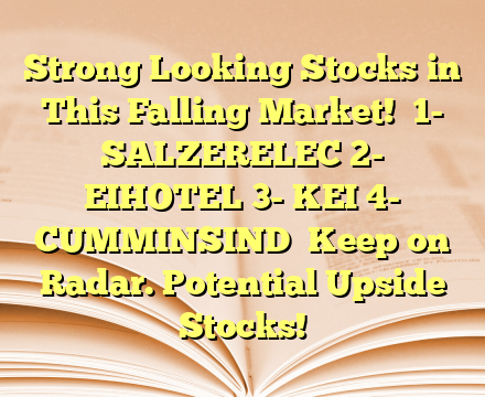 Strong Looking Stocks in This Falling Market!

1- SALZERELEC
2- EIHOTEL
3- KEI
4- CUMMINSIND

Keep on Radar.
Potential Upside Stocks!